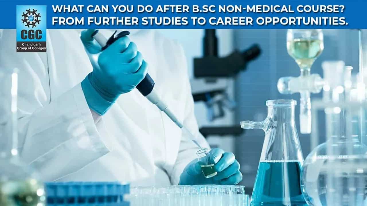 What can you do after B.Sc Non-Medical course? From further studies to career opportunities. 