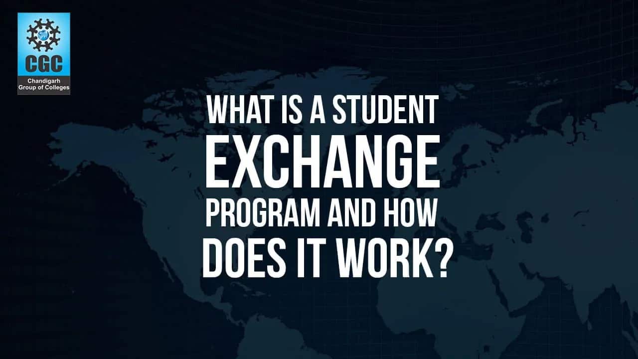 What is a student exchange program and how does it work? 