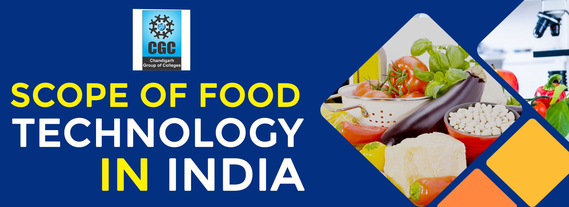 Scope of food technology in India 