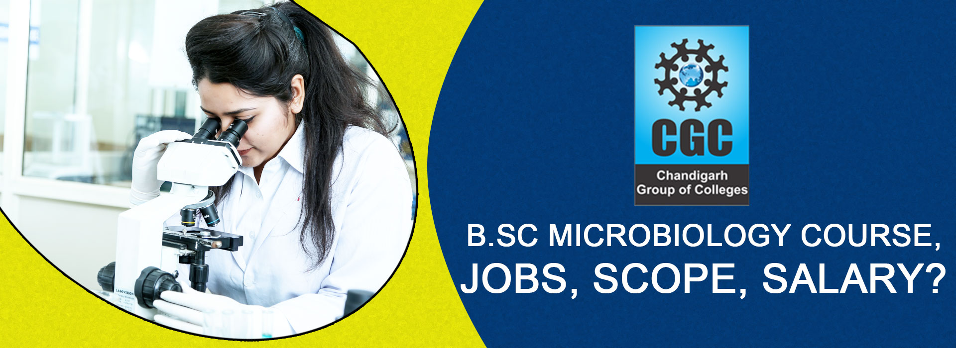 B.Sc Microbiology Course, Jobs, Scope, Salary? 