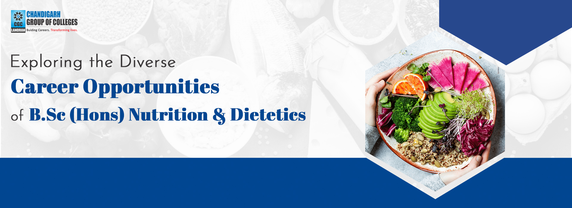 Exploring the Diverse Career Opportunities of B.Sc (Hons) Nutrition & Dietetics 