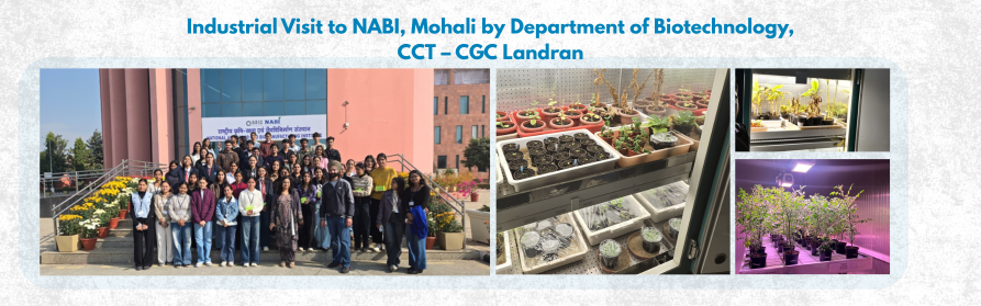 Industrial Visit to  NABI