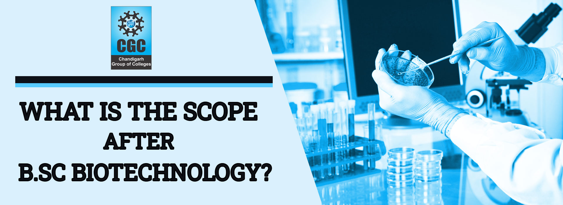 scope after phd in biotechnology