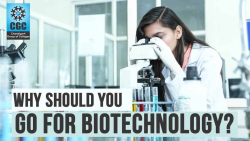 Why should you go for Biotechnology?
