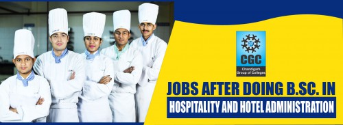 Jobs after B.Sc. in Hospitality and Hotel Administration