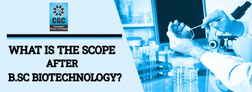 What is the scope after B.Sc Biotechnology?