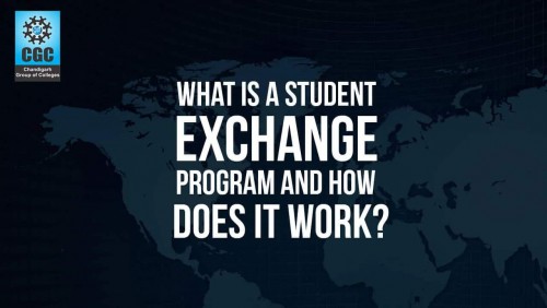 What is a student exchange program and how does it work?
