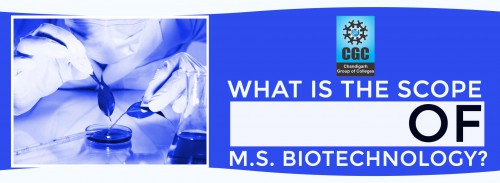 What is the scope of M.Sc. Biotechnology?